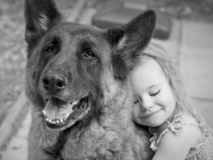 dog_and_little_girl