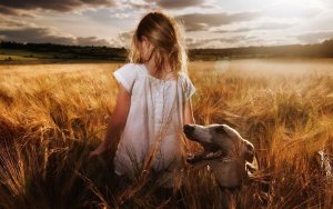 Dog-Field-HD-Wallpaper