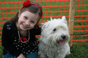 Peter Noel:  Csodát lopni